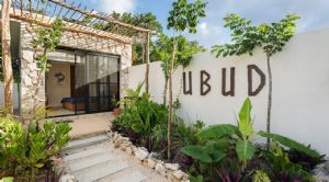 Render o imagen n&uacute;mero  4